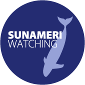 sunameri watching