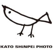 島の写真館-kato shinpei photo-